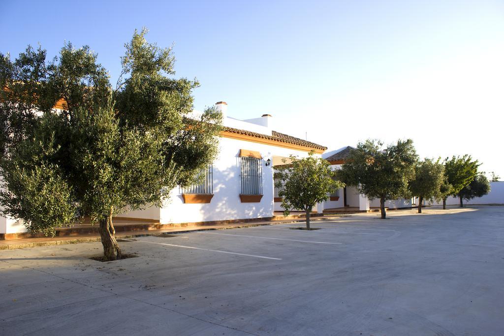Villa La Dehesa Conil De La Frontera Oda fotoğraf